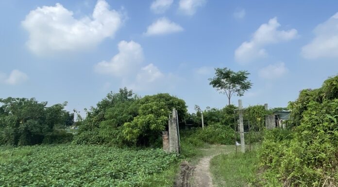 Huyện Thường Tín sẽ cưỡng chế thu hồi 13.584m2 đất ở xã Ninh Sở